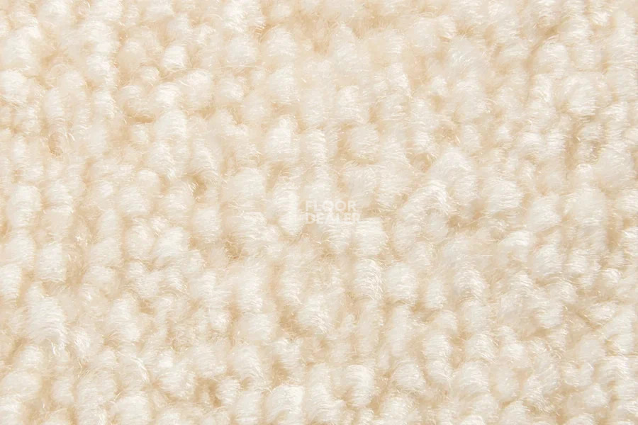 Vorwerk Superior 1064/Lyrica Vorwerk 6c68 фото 5 | FLOORDEALER